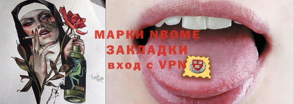 индика Верхний Тагил
