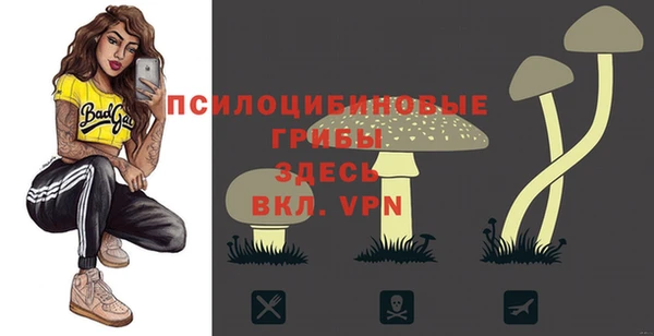 крисы Бронницы