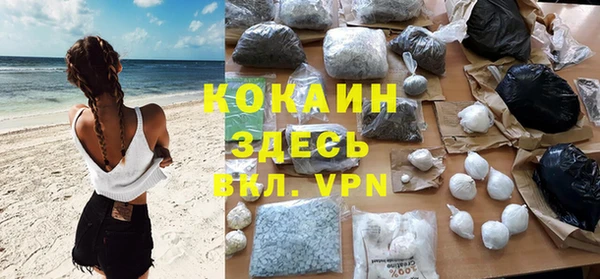 амф Верея