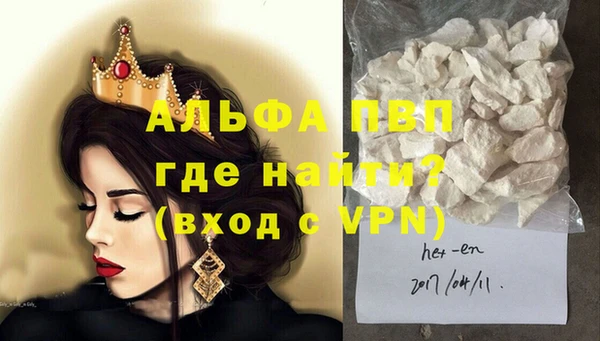 индика Верхний Тагил