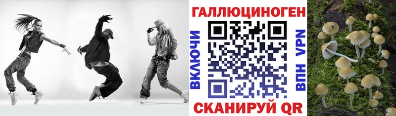 блэк спрут вход Волоколамск Псилоцибиновые грибы прущие грибы
